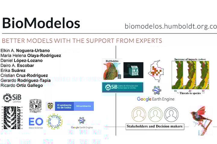 GEO-GEE project: Identifying near real-time loss habitat alerts